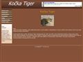 Kočka Tiger